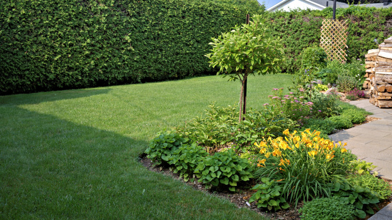 Yard Care in Cornelius, North Carolina